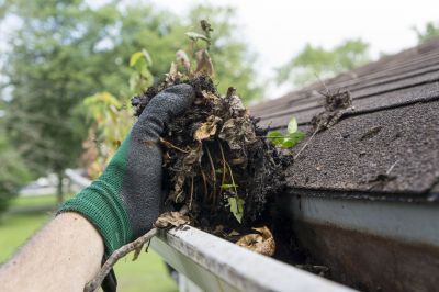 Debris-Free Gutters